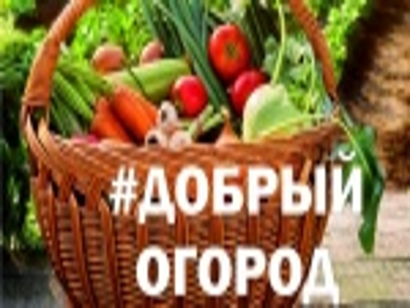 #ДОБРЫЙ ОГОРОД-2023: сезон открыт.