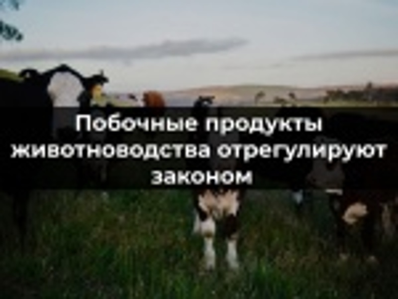 Вниманию производителей сельскохозяйственной продукции.