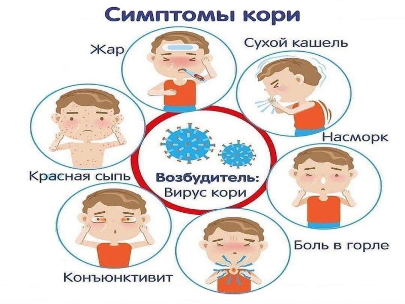 Коренная проблема кори.