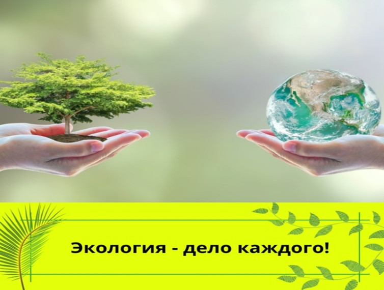 Стартовал новый – четвертый сезон премии «Экология – дело каждого». Стартовал новый – четвертый сезон премии «Экология – дело каждого».