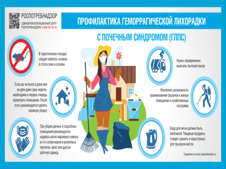 О профилактике геморрагической лихорадки с почечным синдромом. О профилактике геморрагической лихорадки с почечным синдромом.